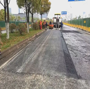 武漢光谷東湖高新開發區鳳凰一路道路工程