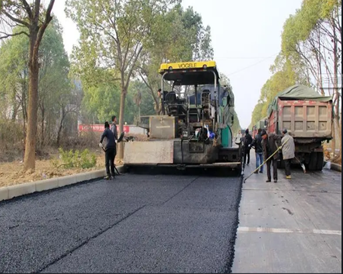 武漢光谷東湖高新開發區鳳凰一路道路工程